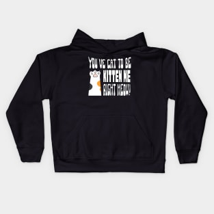 Cute Cat Kitten Lovers Design Kids Hoodie